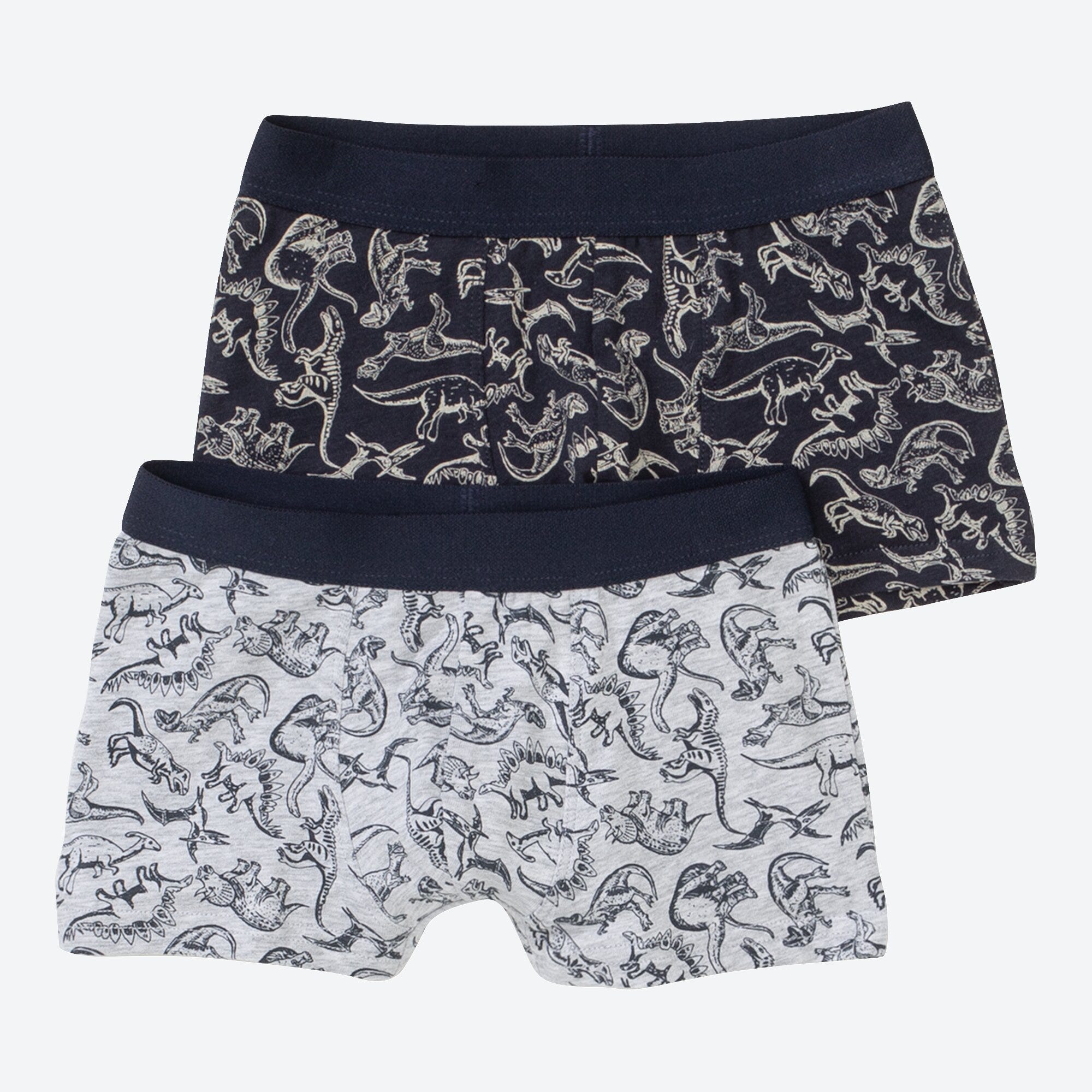 Jungen-Retroshorts mit Dino-Design, 2er-Pack