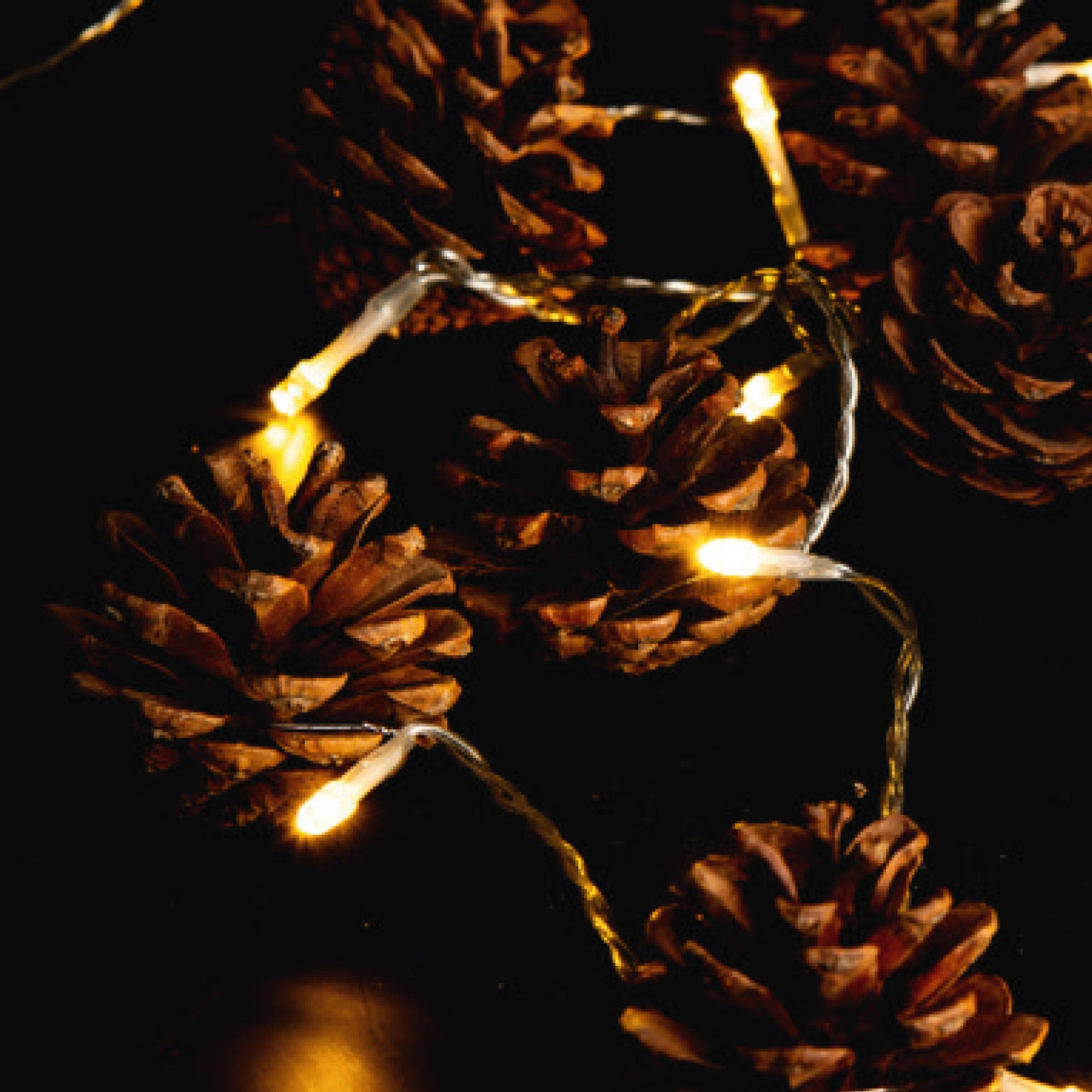 LED-Lichterkette mit Tannenzapfen, ca. 140cm