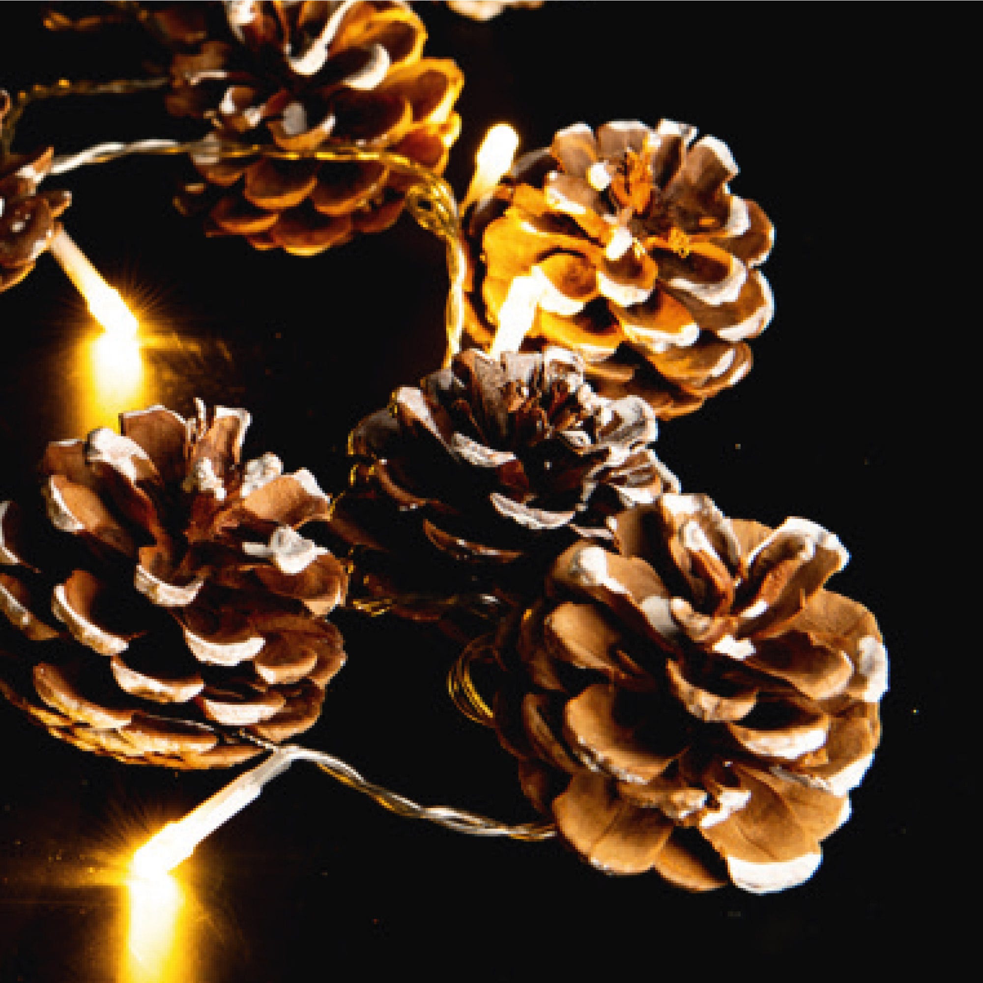 LED-Lichterkette mit Tannenzapfen, ca. 140cm