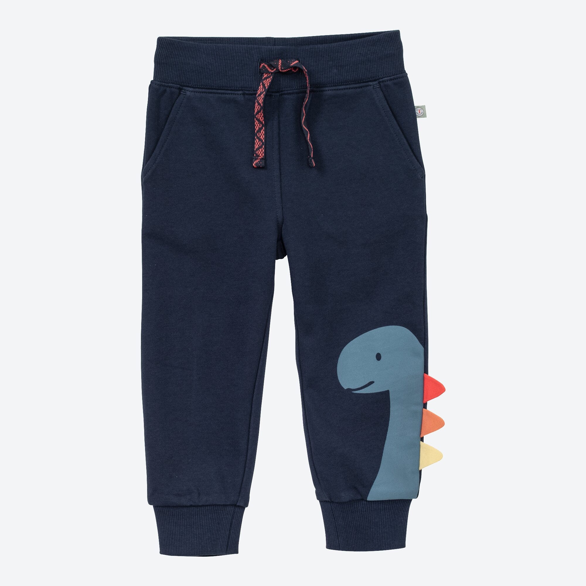 Baby-Jungen-Jogginghose mit Dino-Motiv