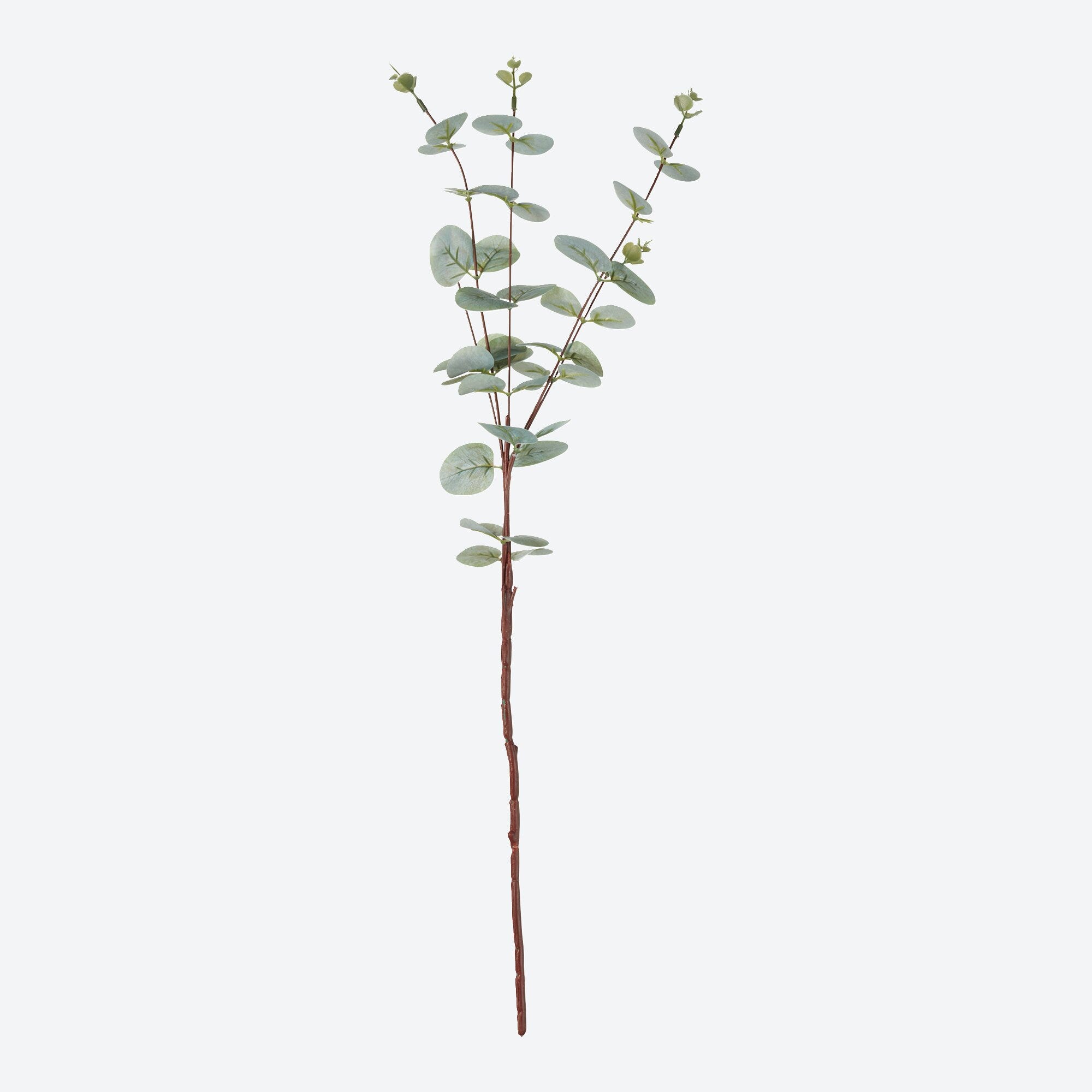 Deko Eukalyptuszweig in verschiedenen Farben, ca. 65cm