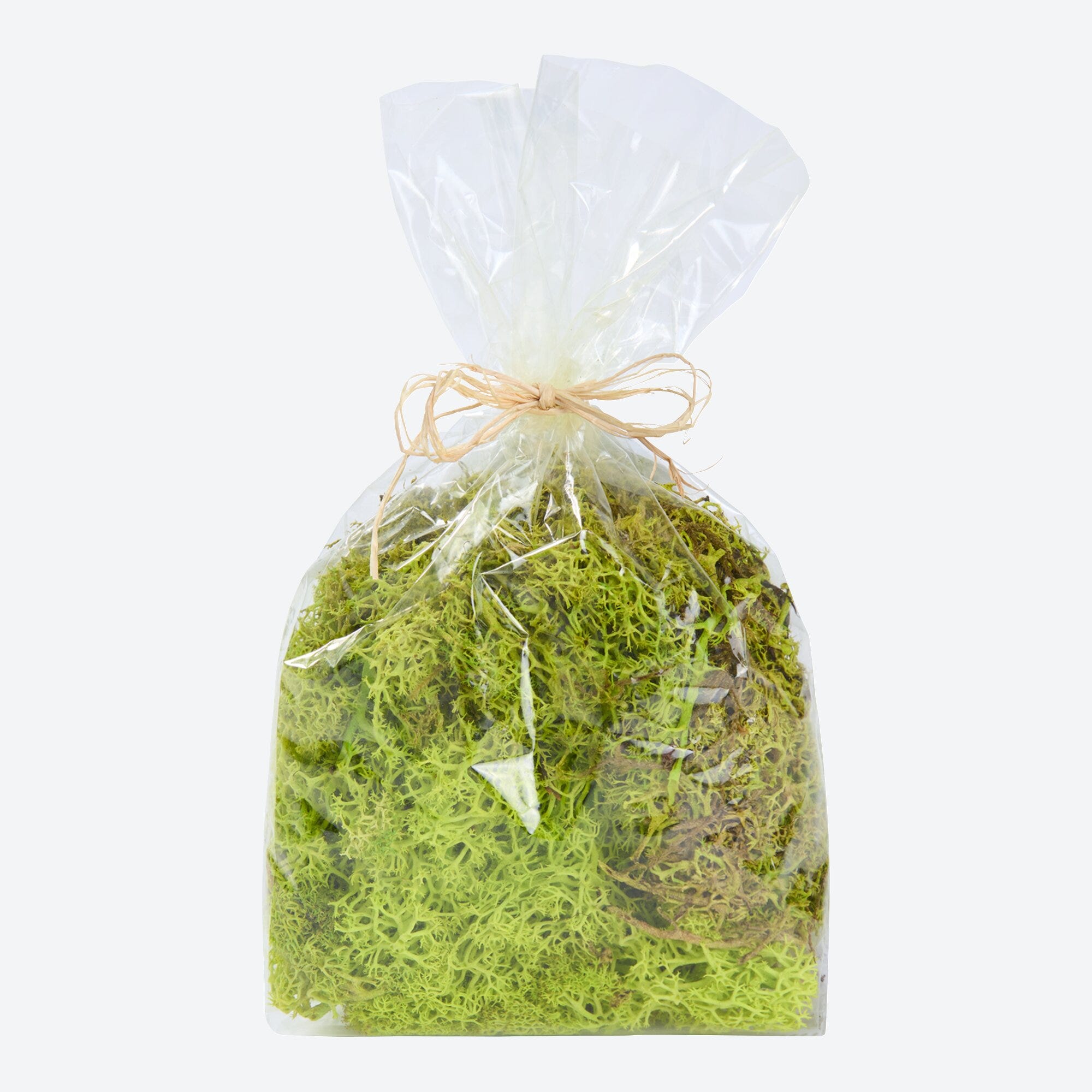 Island Moos zur Dekoration, ca. 50g